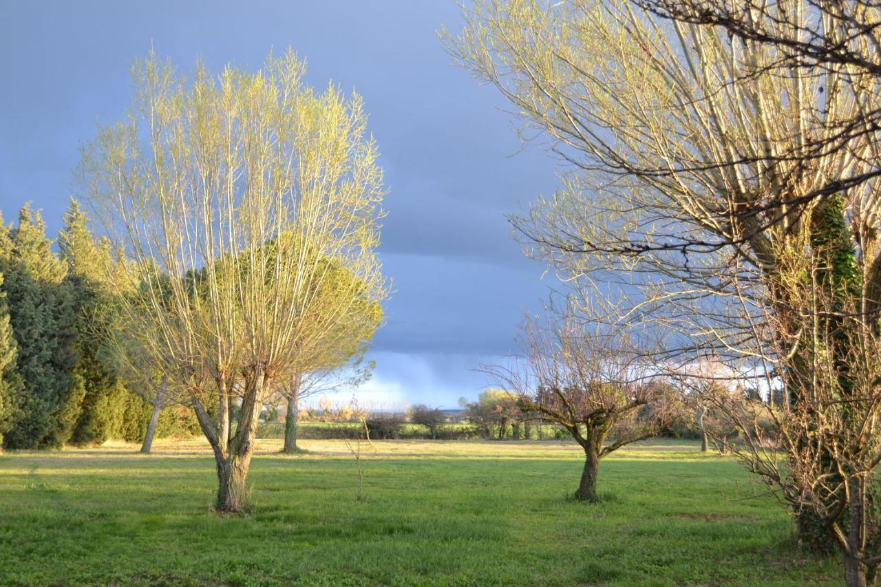 Chambres D Hotes De Charme Dans Mas La Souvine Du 17Eme, Chambres Climatisees Bédarrides エクステリア 写真